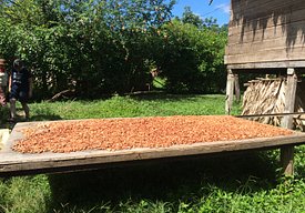 IMG_0540